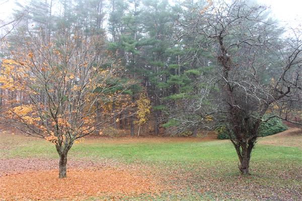 7 West Whitehall Road Amesbury, MA 01913 - Photo 21 of 26
