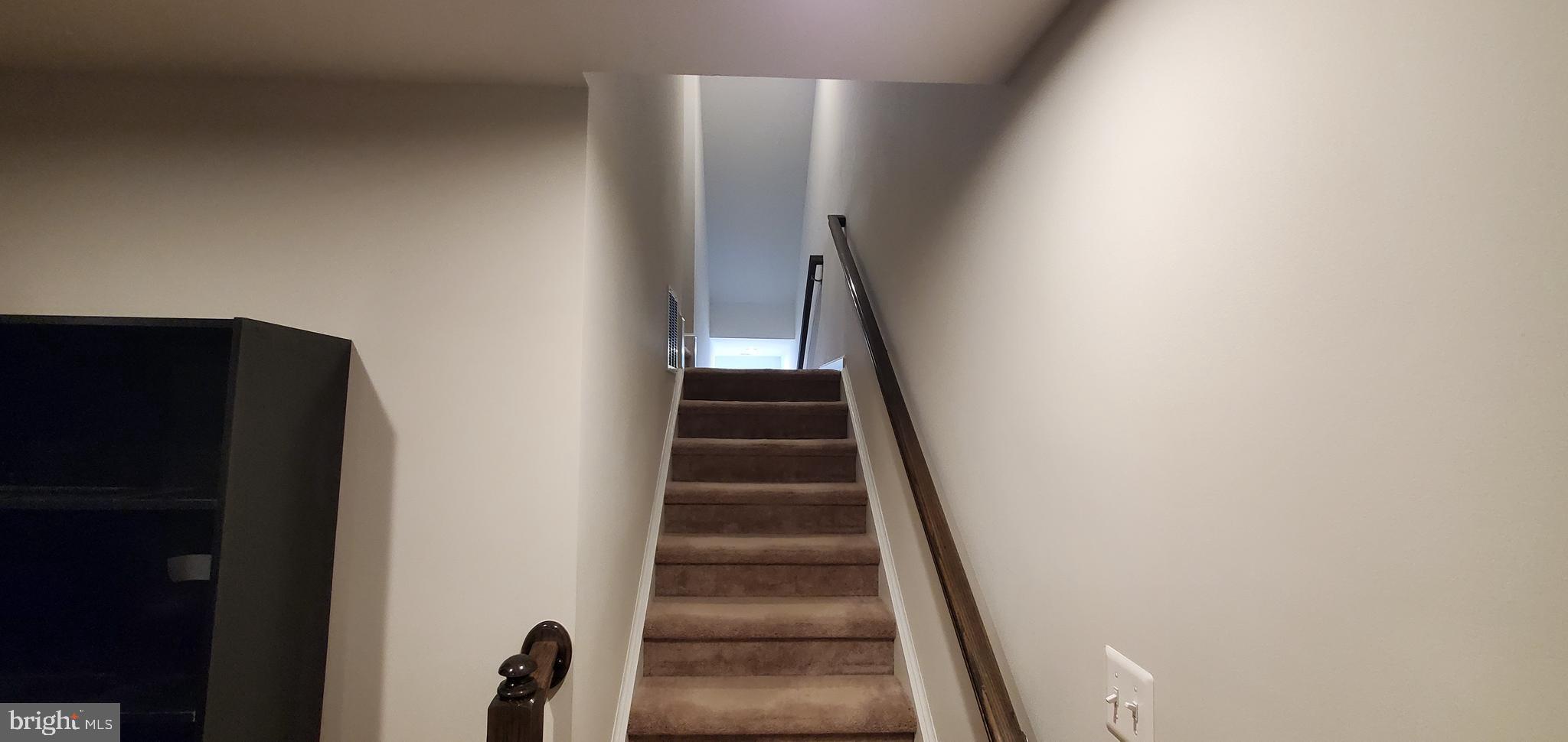 303 Rising Sun Road Fredericksburg, VA 22405 - Photo 30 of 39 Double Stairway to Basement