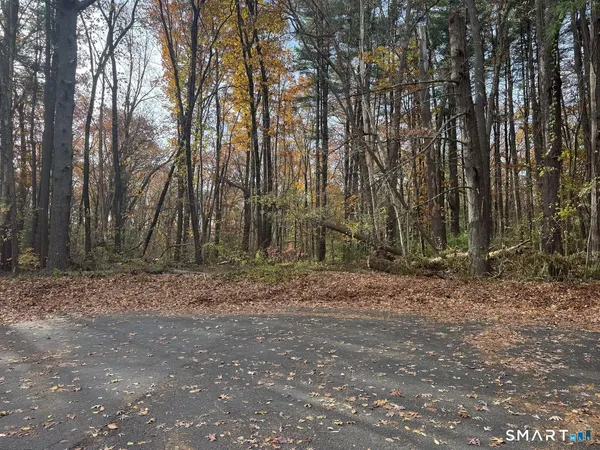a view of a backyard with large trees