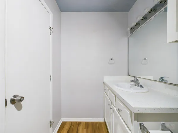 a bathroom with a sink and a mirror