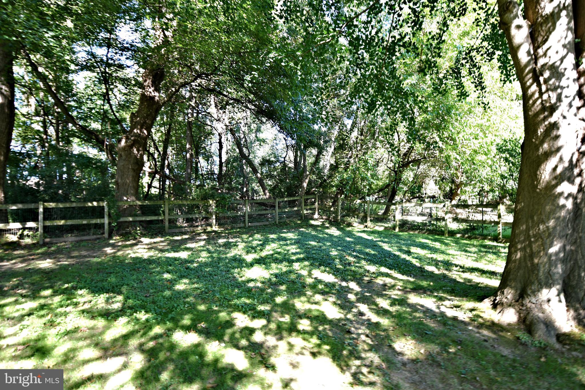 1441 Lawrenceville Road Lawrenceville, NJ 08648 - Photo 41 of 49 Far rear yard