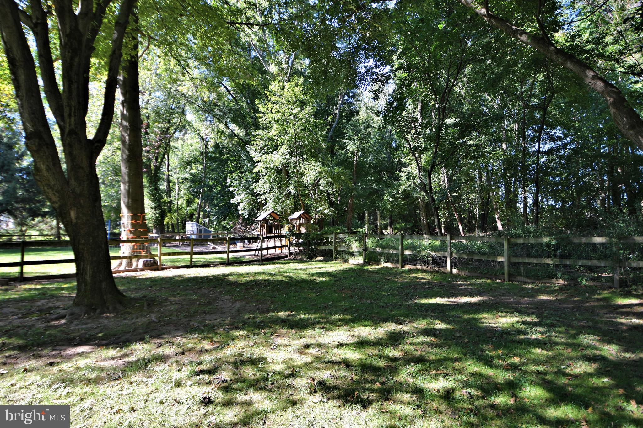 1441 Lawrenceville Road Lawrenceville, NJ 08648 - Photo 46 of 49 Large rear yard with forest behind