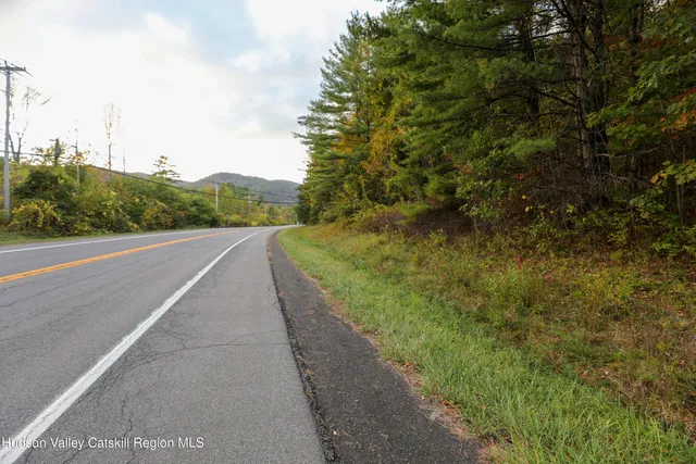 a view of a pathway both side of yard