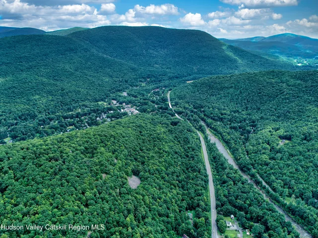 a view of a lush green space