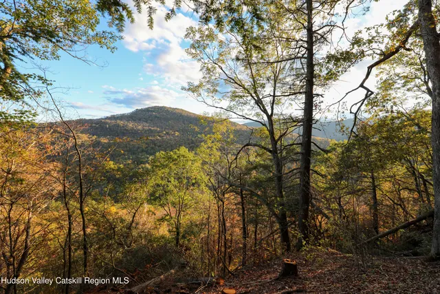 a view of mountain view with lots of trees