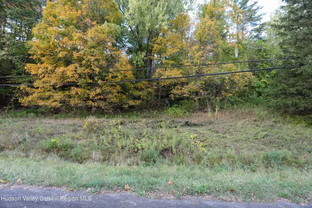 a view of a yard with large trees