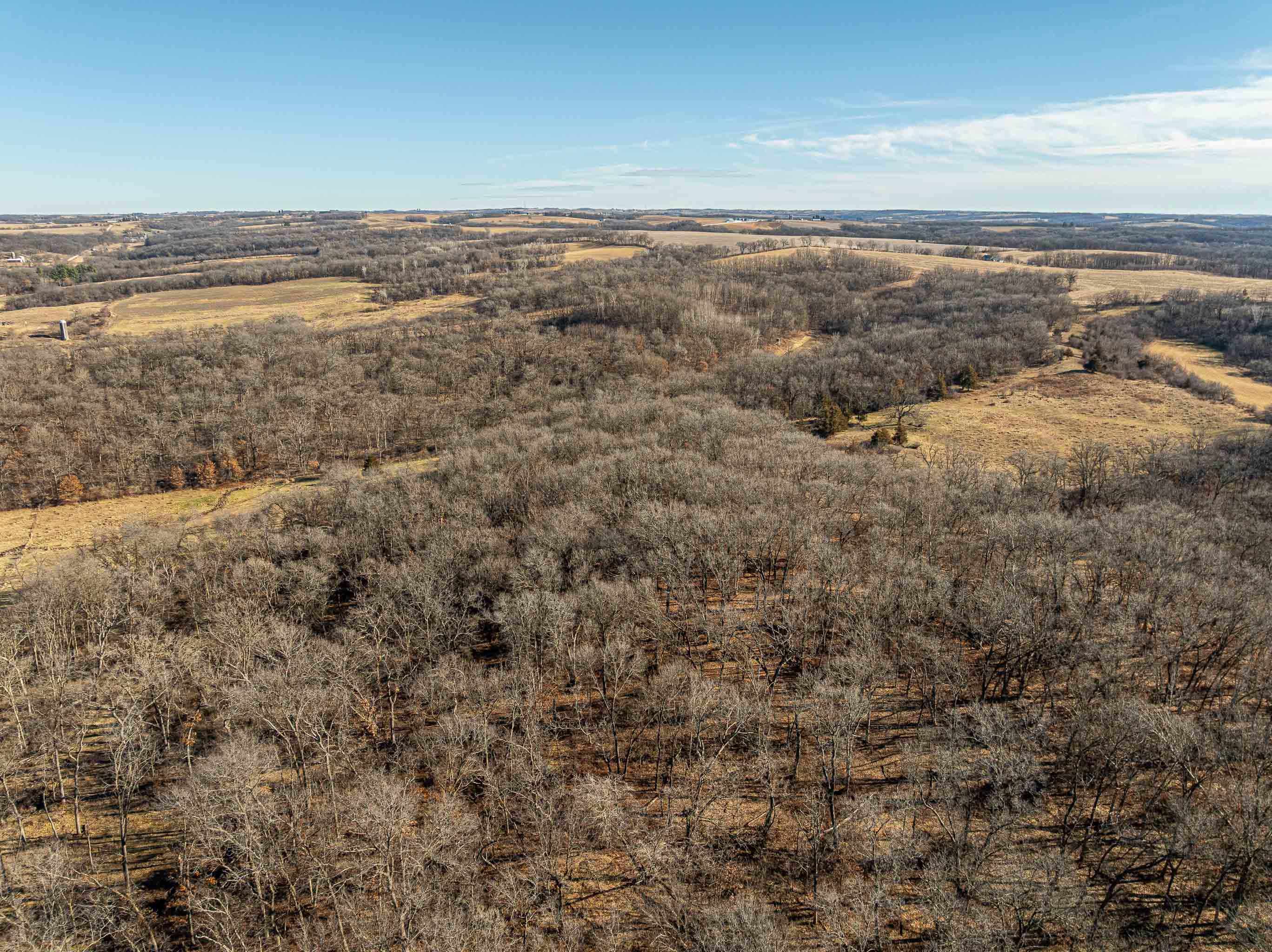 1693 Sawmill Road Argyle, WI 53504 - Photo 63 of 80