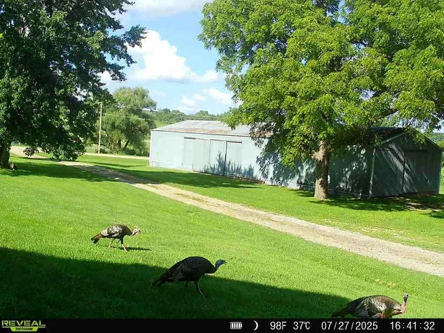 $1,275,000 | 1693 Sawmill Road, Argyle, WI 53504