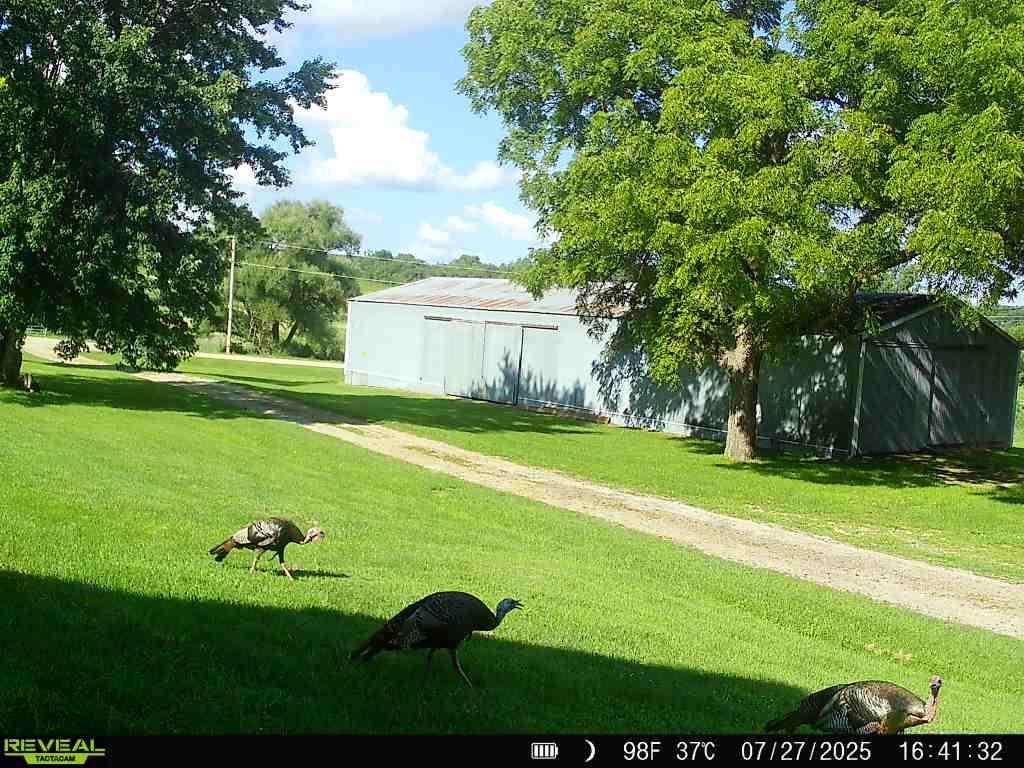 1693 Sawmill Road Argyle, WI 53504 - Photo 80 of 80