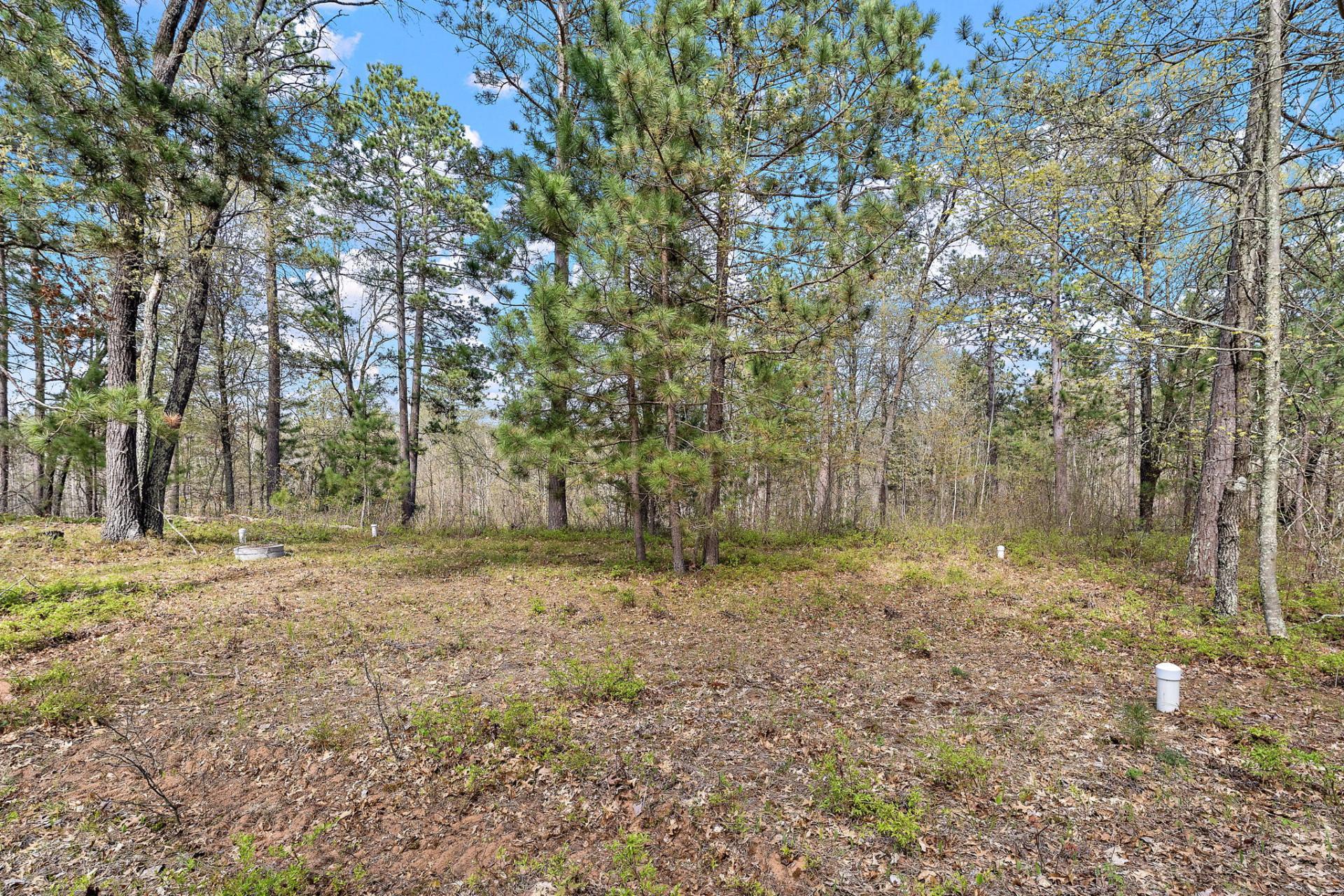4226 Deerpath Road Danbury, WI 54830 - Photo 9 of 17