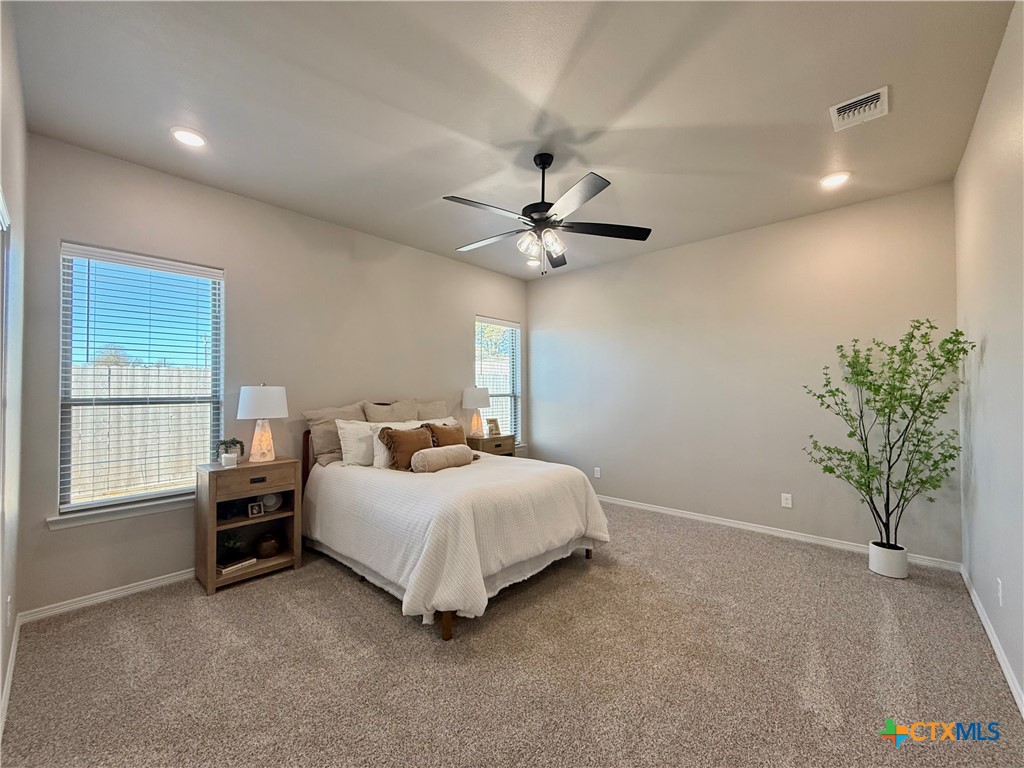 203 Lasso Loop Lorena, TX 76655 - Photo 25 of 37 a bedroom with a bed and a potted plant