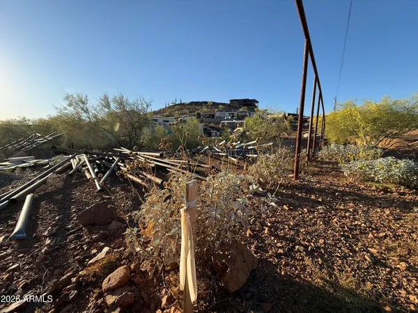 a view of a yard with a tree