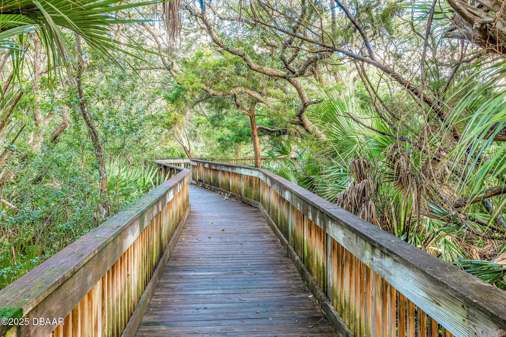 4623 Rivers Edge Village Lane, Unit 6204 Ponce Inlet, FL 32127 - Photo 39 of 51 a view of balcony and trees