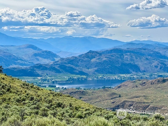 88 Gold Rush Ridge Road Oroville, WA 98844 - Photo 1 of 18 Gallery Image 1
