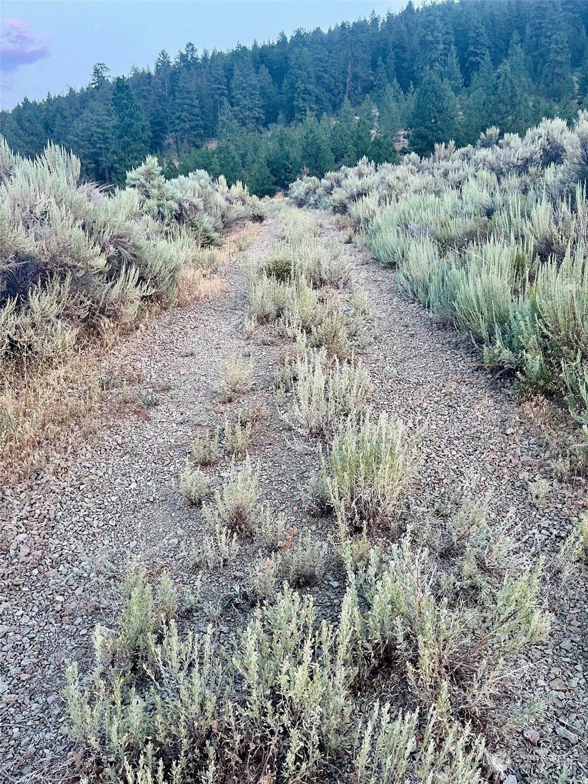 88 Gold Rush Ridge Road Oroville, WA 98844 - Photo 16 of 18 Gallery Image 16