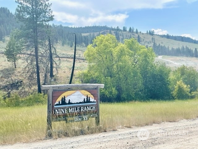 88 Gold Rush Ridge Road Oroville, WA 98844 - Photo 4 of 18 Gallery Image 4