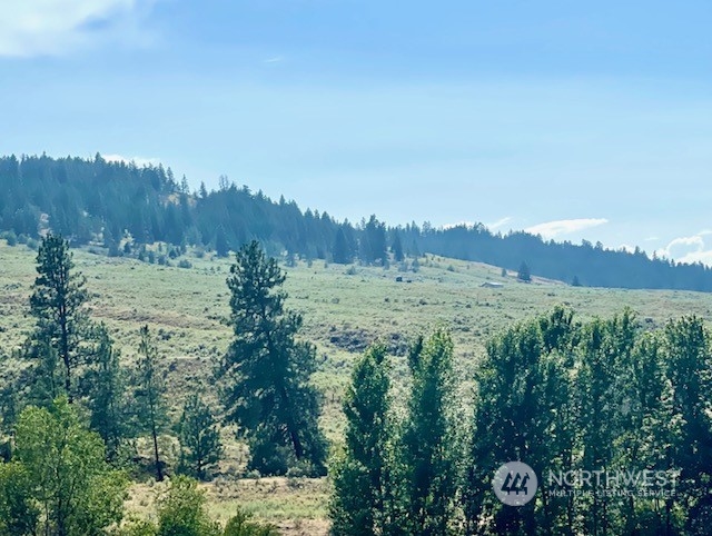 88 Gold Rush Ridge Road Oroville, WA 98844 - Photo 5 of 18 Gallery Image 5