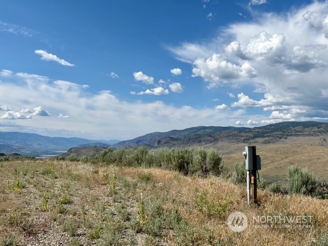 88 Gold Rush Ridge Road Oroville, WA 98844 - Photo 7 of 18 Gallery Image 7