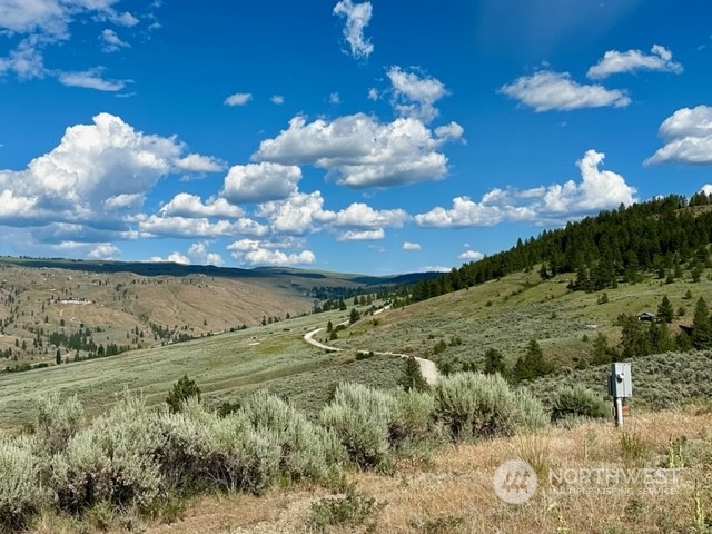 88 Gold Rush Ridge Road Oroville, WA 98844 - Photo 8 of 18 Gallery Image 8