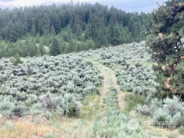 88 Gold Rush Ridge Road Oroville, WA 98844 - Photo 10 of 18 Gallery Image 10