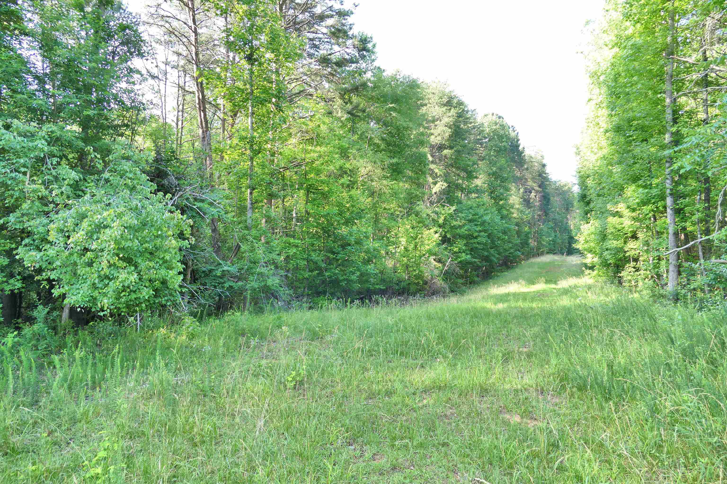 240 Coyl Road Gaffney, SC 29340 - Photo 11 of 13