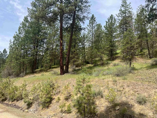 $175,000 | Tbd Tbd Napias, Boise, ID 83716