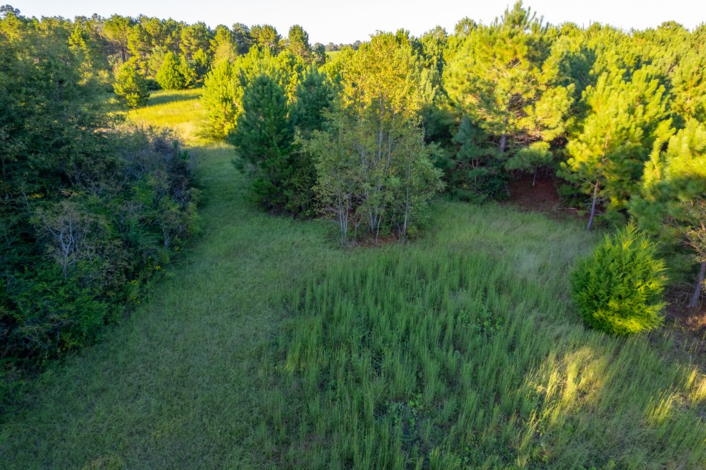 2226 Randall Wade Road Headland, AL 36345 - Photo 28 of 60