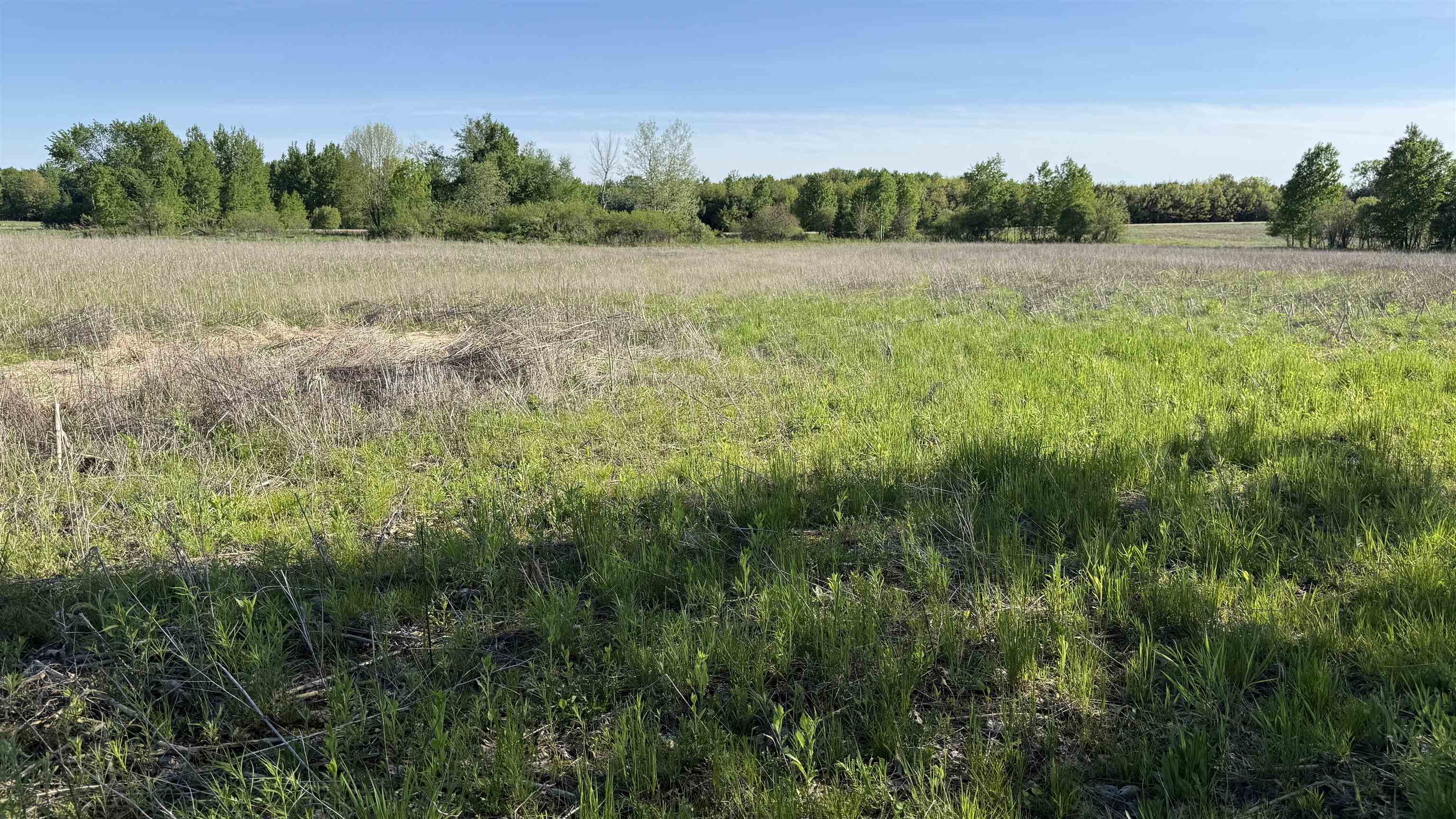 Lot 3 Eau Claire River Road Ringle, WI 54471 - Photo 8 of 28