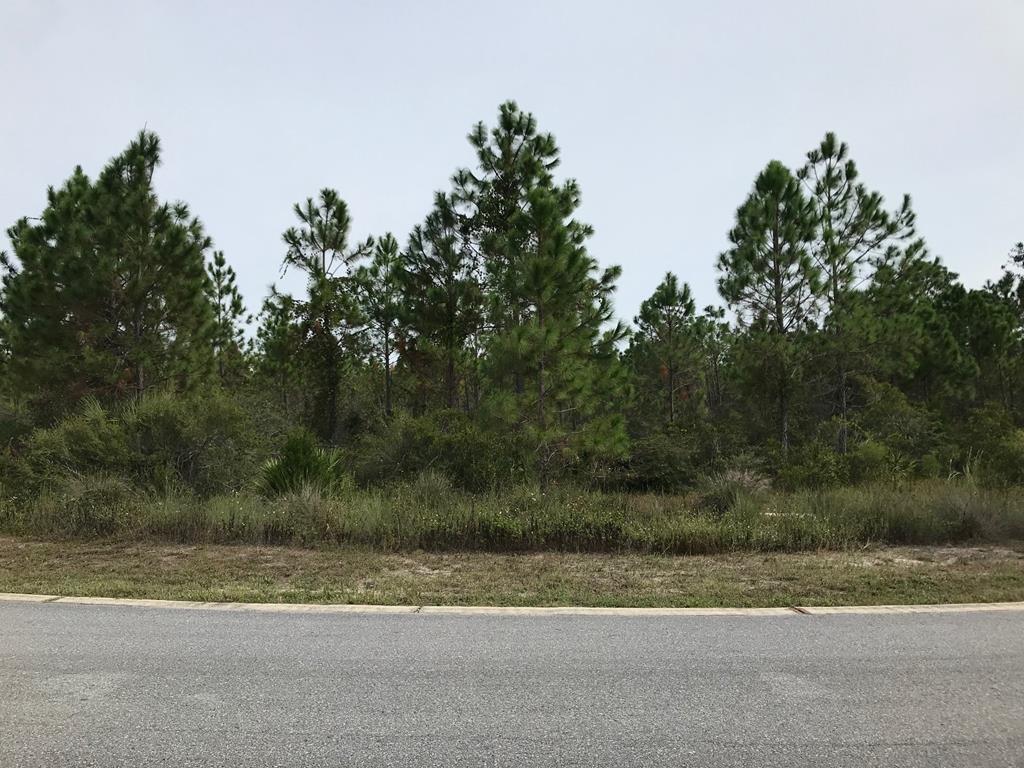 42 Shallow Reed Drive Port St. Joe, FL 32456 - Photo 2 of 5