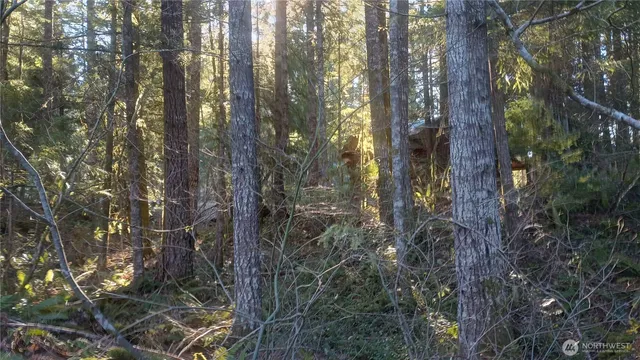 $155,000 | 123 Elkhorn Trail, Packwood, WA 98361