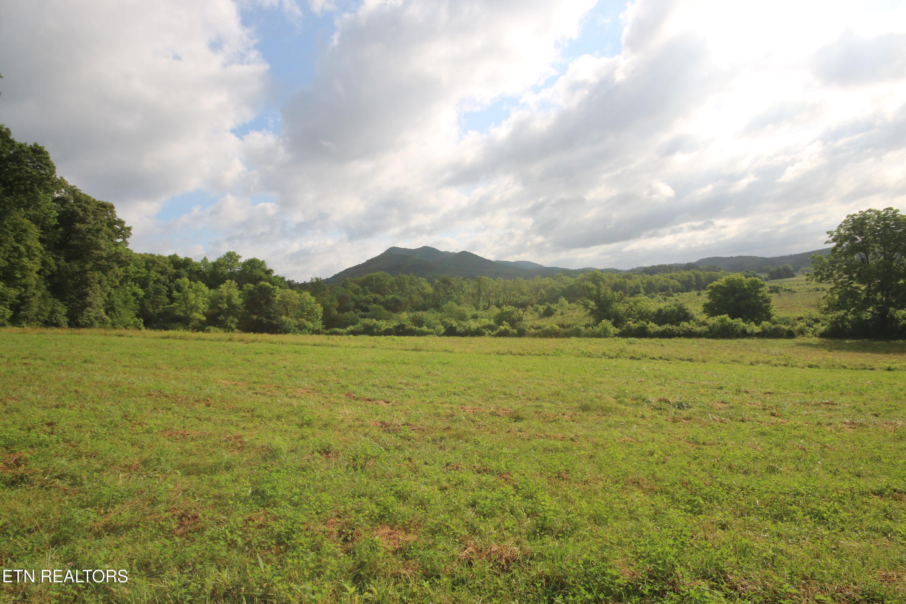 110-acres Bivens Road Tellico Plains, TN 37385 - Photo 12 of 24 IMG_7921