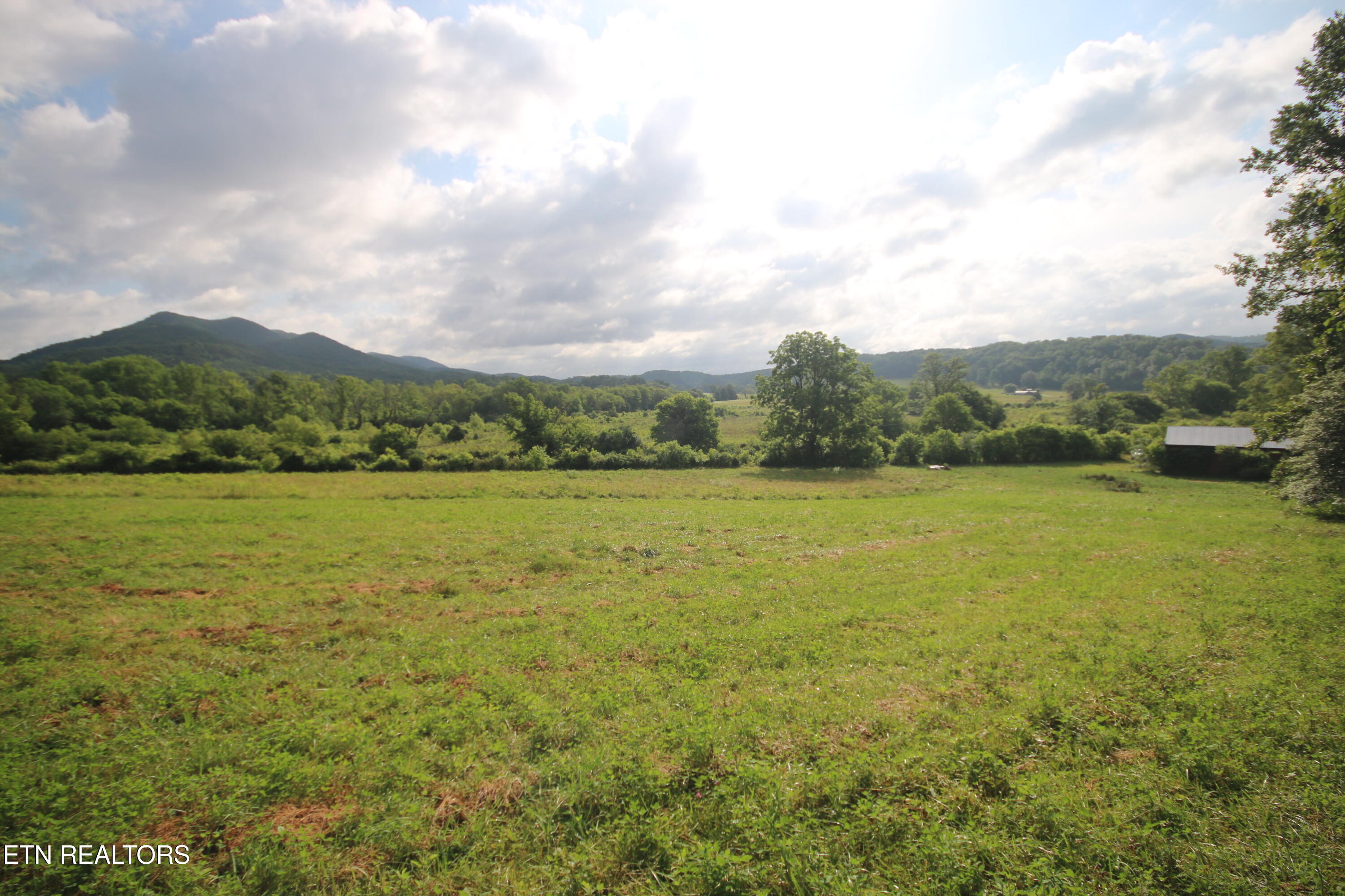 110-acres Bivens Road Tellico Plains, TN 37385 - Photo 13 of 24 IMG_7925