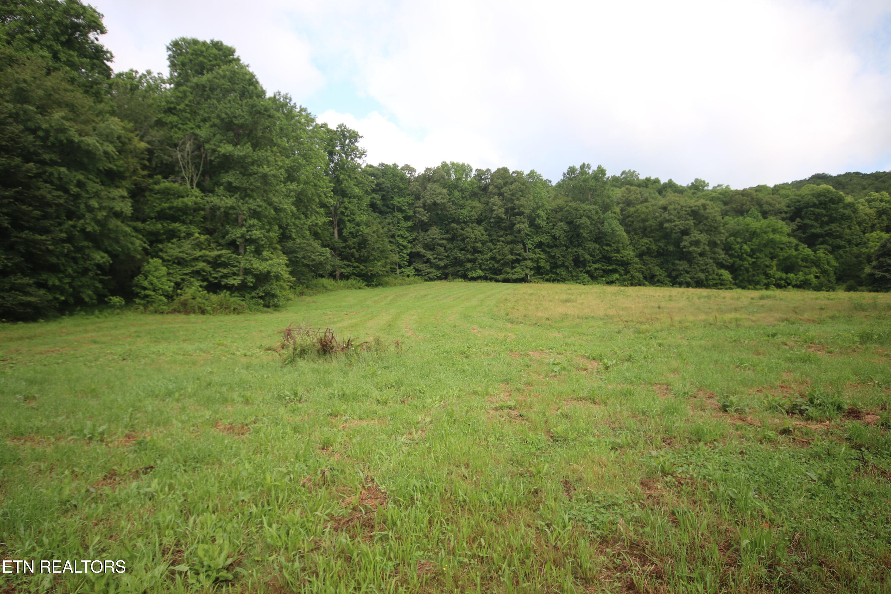 110-acres Bivens Road Tellico Plains, TN 37385 - Photo 15 of 24 IMG_7941