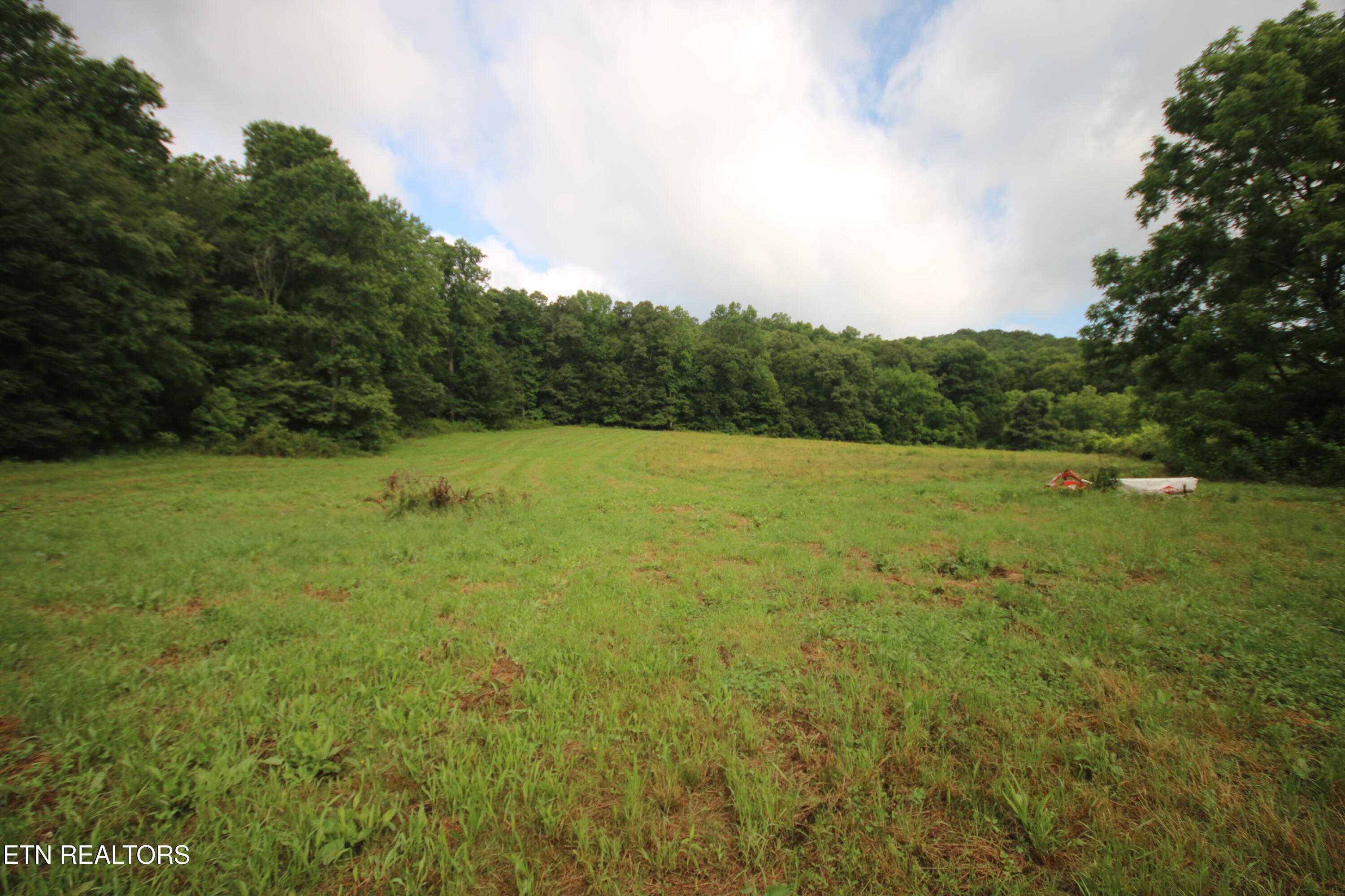 110-acres Bivens Road Tellico Plains, TN 37385 - Photo 16 of 24 IMG_7940