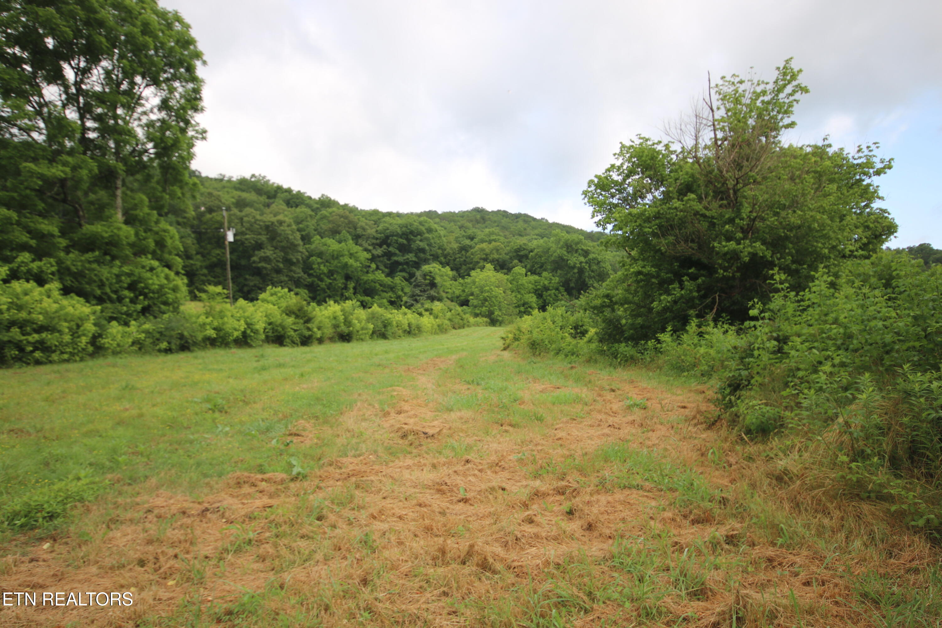 110-acres Bivens Road Tellico Plains, TN 37385 - Photo 17 of 24 IMG_7934