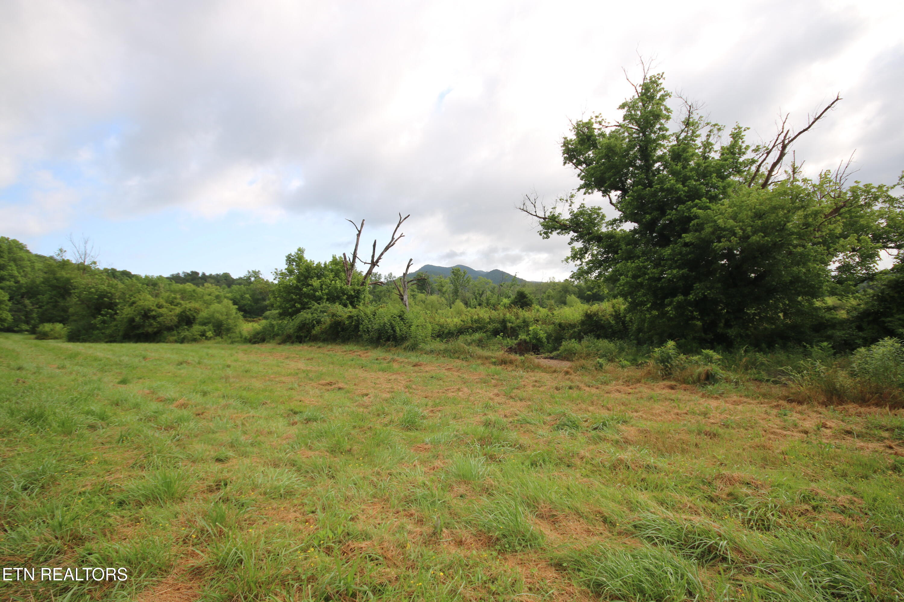 110-acres Bivens Road Tellico Plains, TN 37385 - Photo 18 of 24 IMG_7937