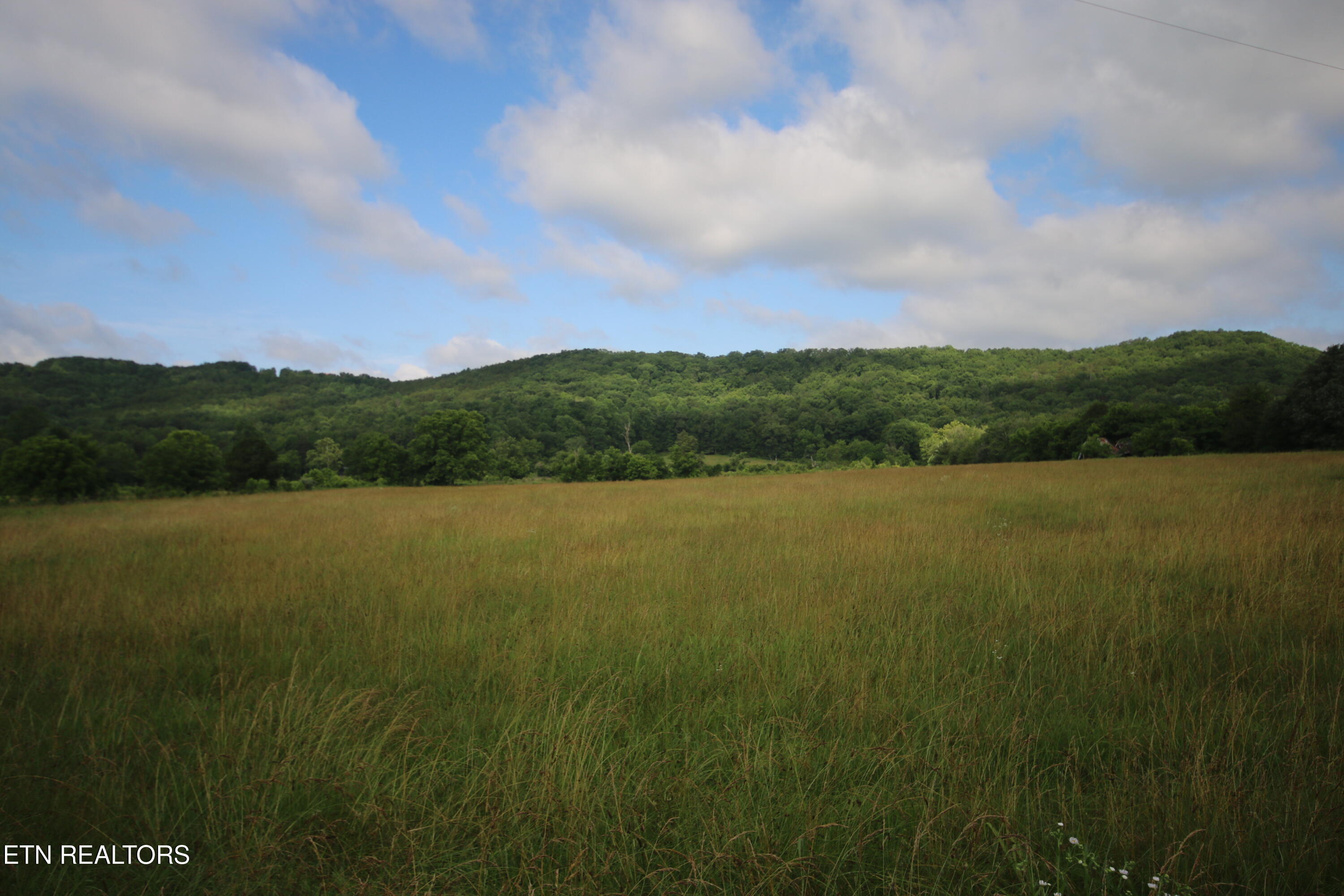 110-acres Bivens Road Tellico Plains, TN 37385 - Photo 2 of 24 IMG_7945