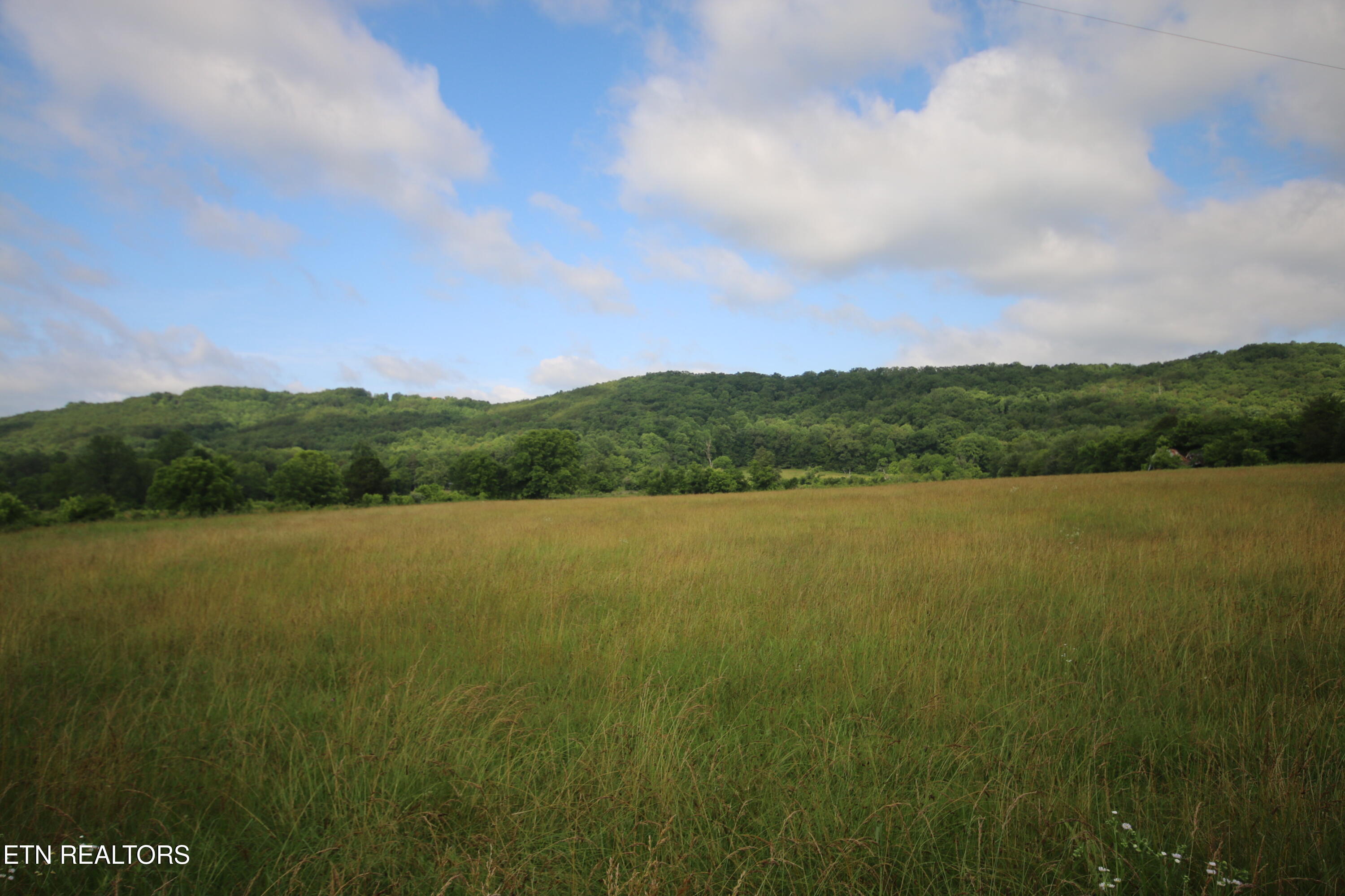 110-acres Bivens Road Tellico Plains, TN 37385 - Photo 3 of 24 IMG_7948
