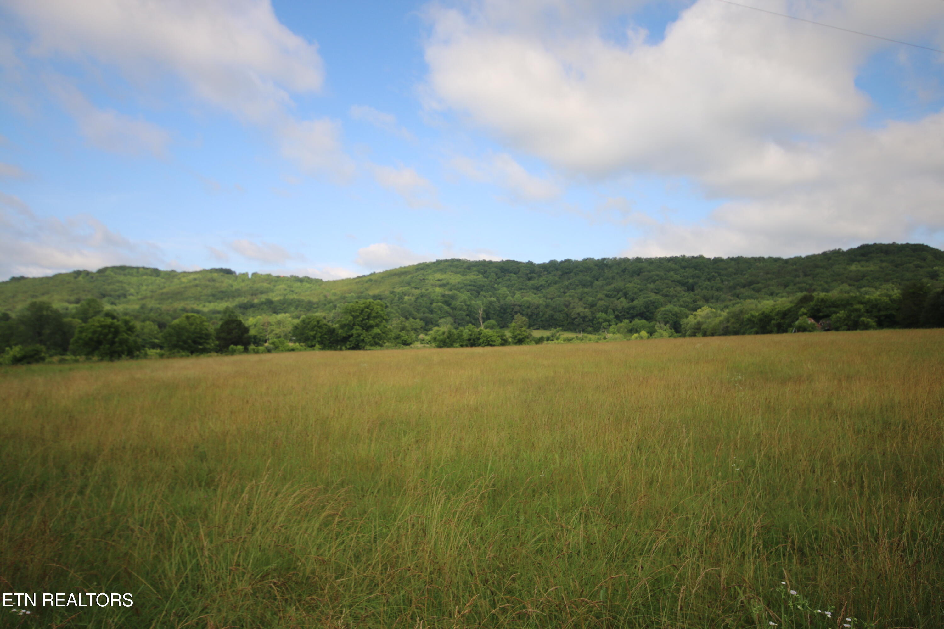 110-acres Bivens Road Tellico Plains, TN 37385 - Photo 4 of 24 IMG_7951