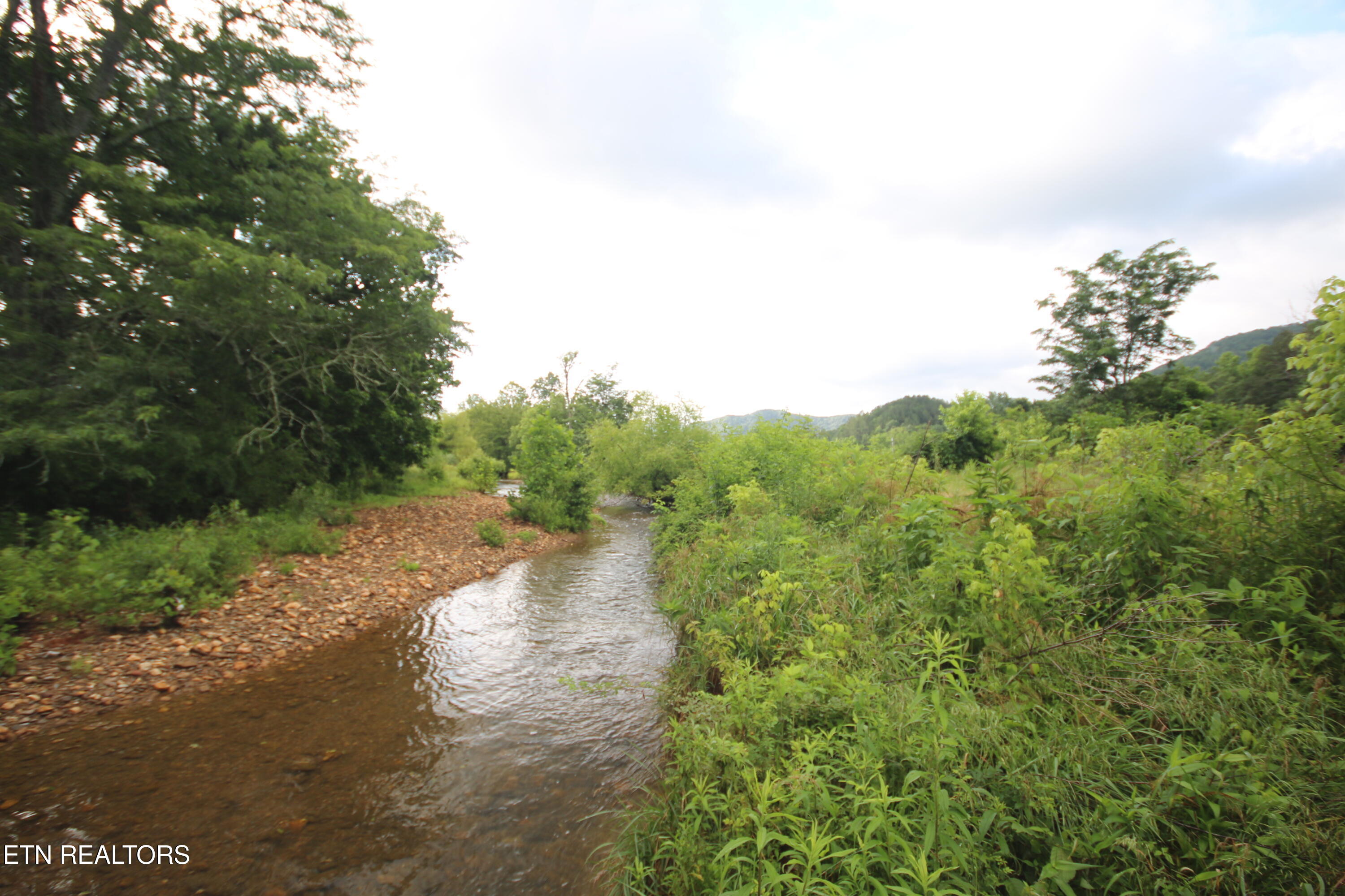 110-acres Bivens Road Tellico Plains, TN 37385 - Photo 6 of 24 IMG_7928
