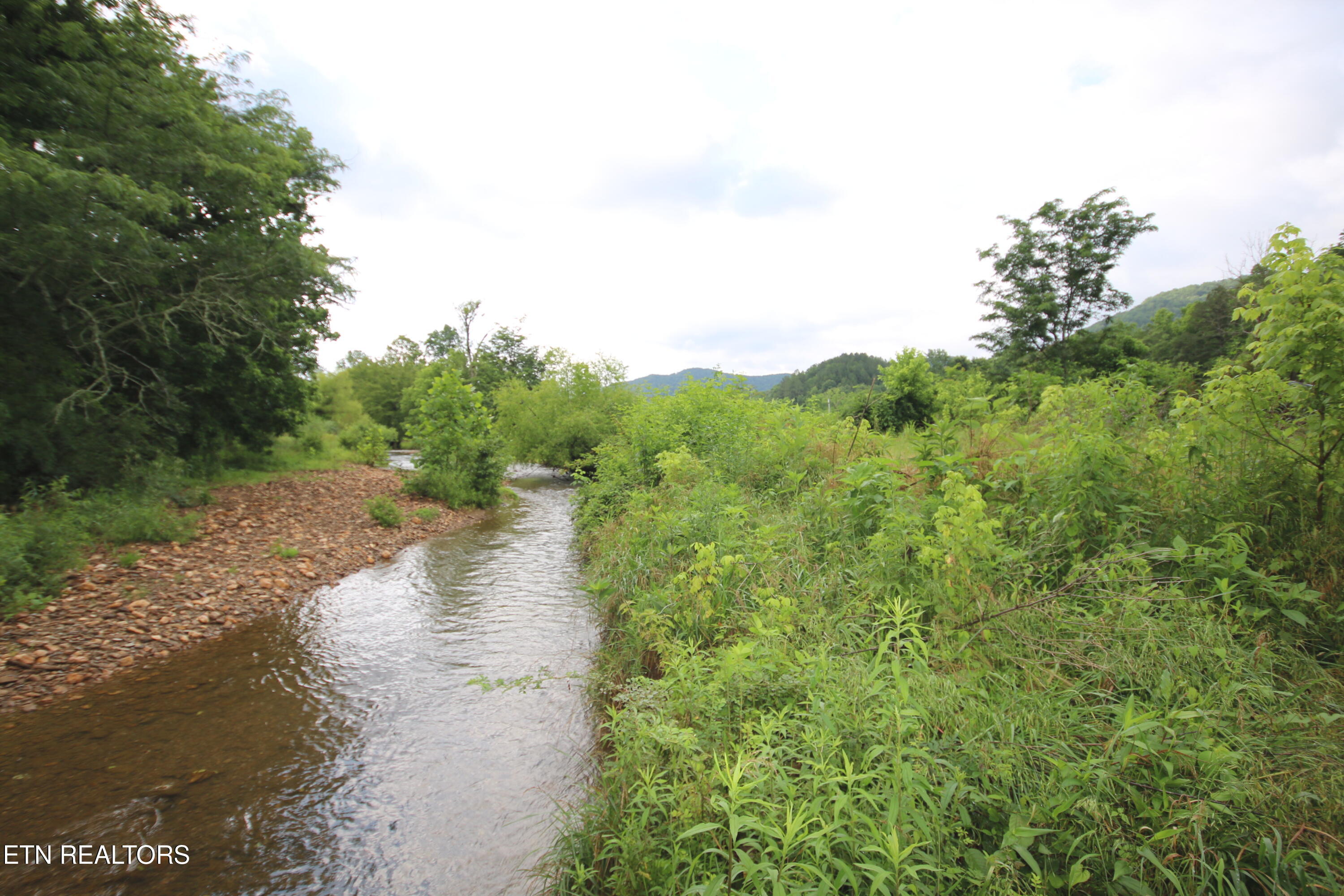 110-acres Bivens Road Tellico Plains, TN 37385 - Photo 7 of 24 IMG_7933