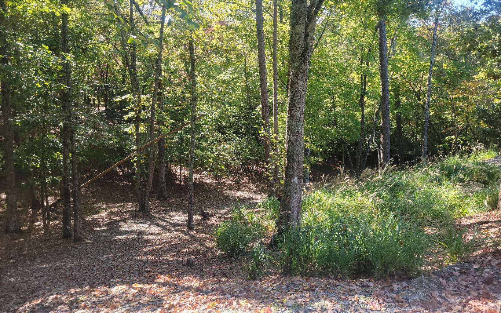 43 Hunters Ridge Road Mineral Bluff, GA 30559 - Photo 41 of 53 Additional View