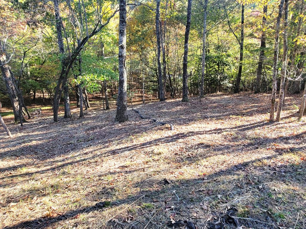 43 Hunters Ridge Road Mineral Bluff, GA 30559 - Photo 52 of 53
