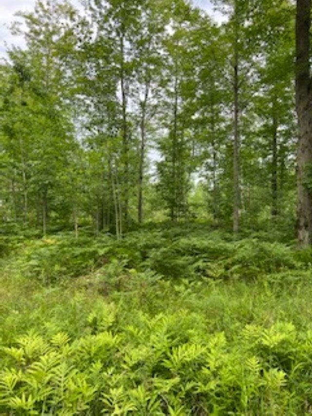 Bard Road Coleman, MI 48618 - Photo 1 of 5