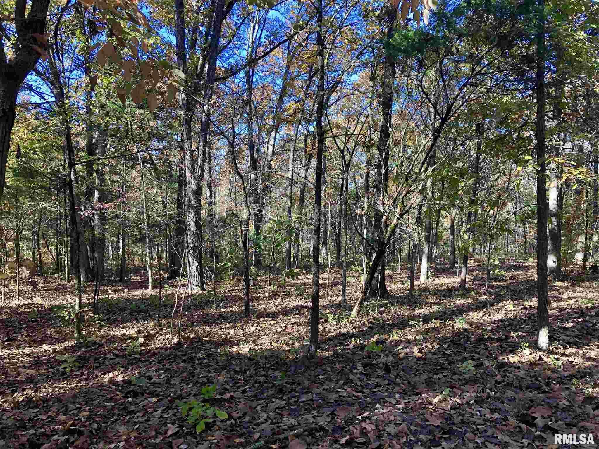 60 New Hope Road Herod, IL 62947 - Photo 8 of 9