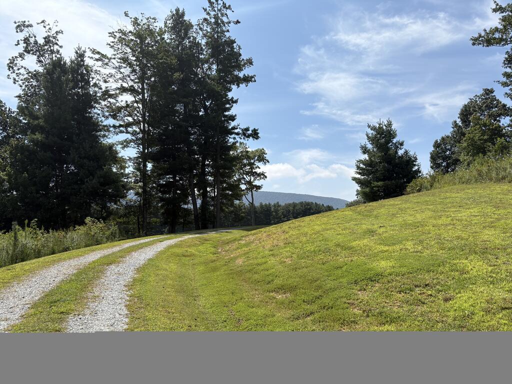 21 South S Street, Unit 1 Elkin, NC 28621 - Photo 26 of 57 Gallery Image 26