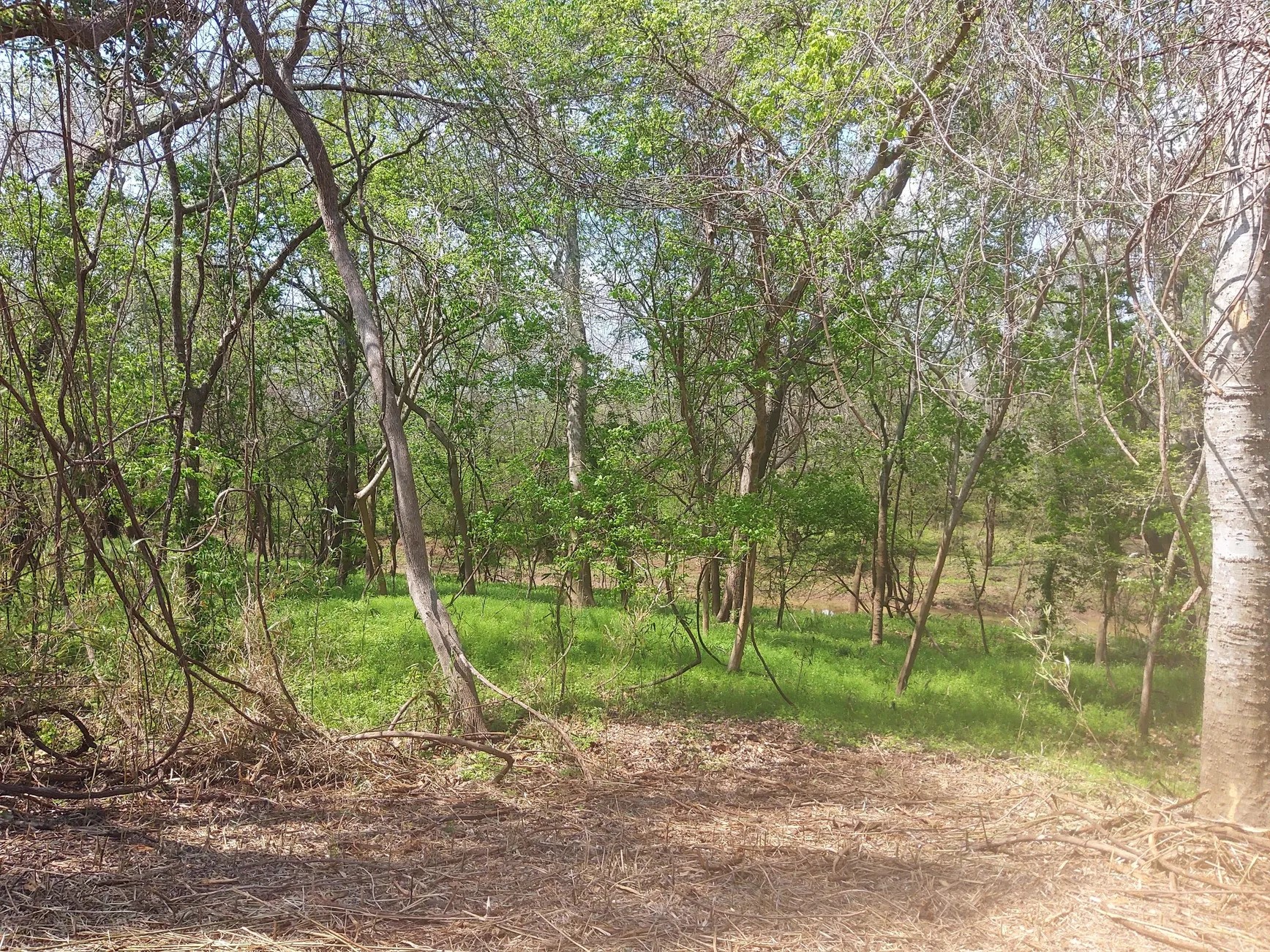 Lot 2 Fm 521 Angleton, TX 77515 - Photo 16 of 26