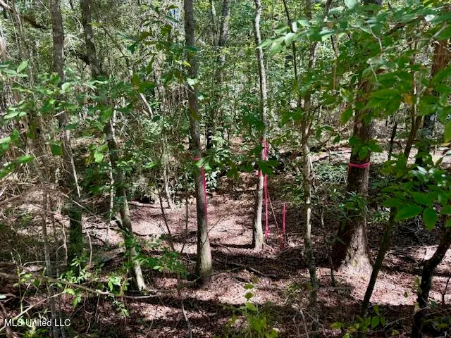 $99,500 | Sanford Road, Franklinton, LA 70438