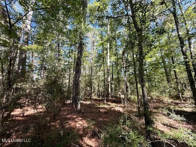 $99,500 | Sanford Road, Franklinton, LA 70438