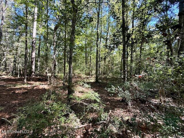 Sanford Road Franklinton, LA 70438 - Photo 12 of 30 IMG_6604